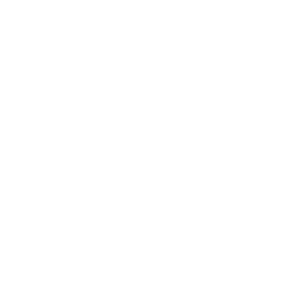 CCR LOGO WHITE